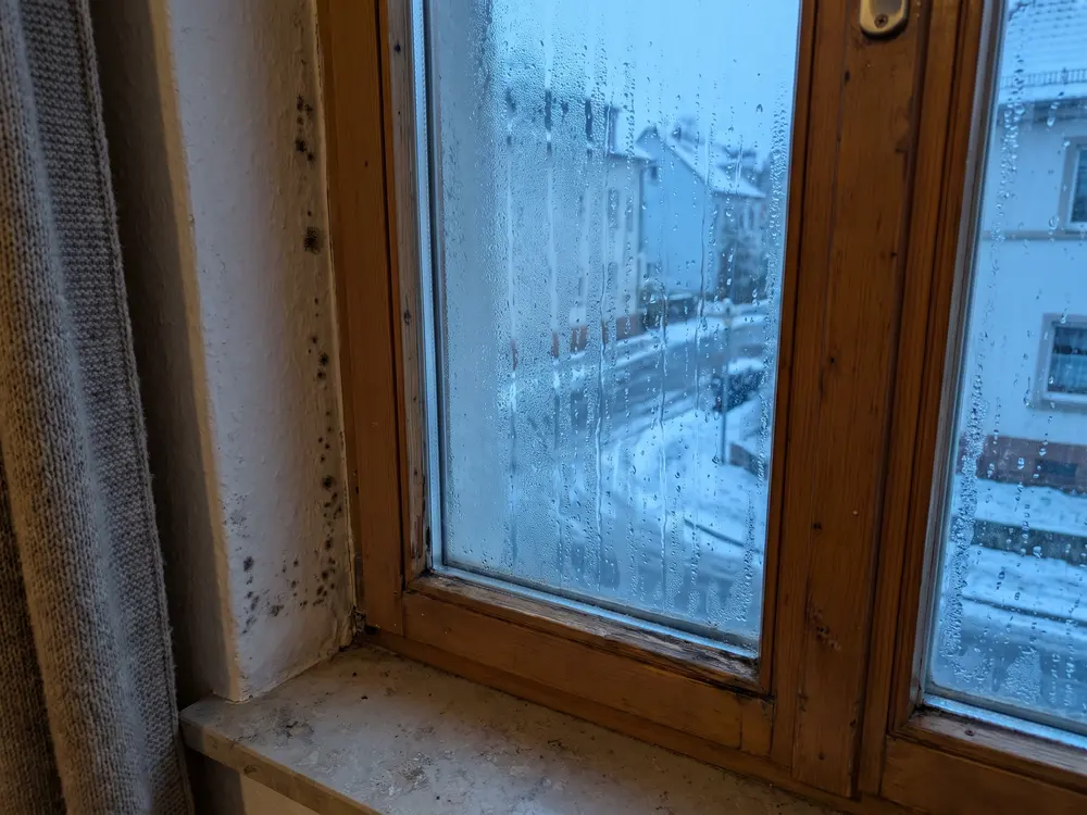 Kondenswasser und Schimmel an einer Fensterlaibung