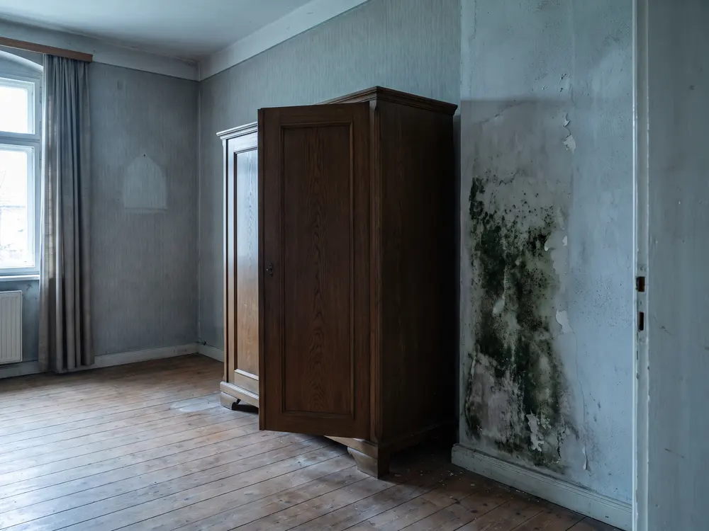Schimmel an der Wand hinter einem Schrank